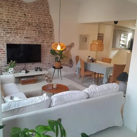 Apartment Charmante Alte Stadtvilla *